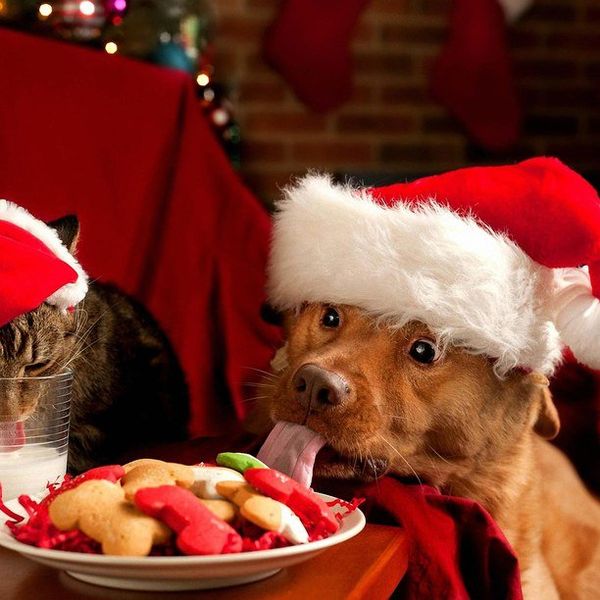 13 Signs You're Already Excited For The Christmas Holiday Season