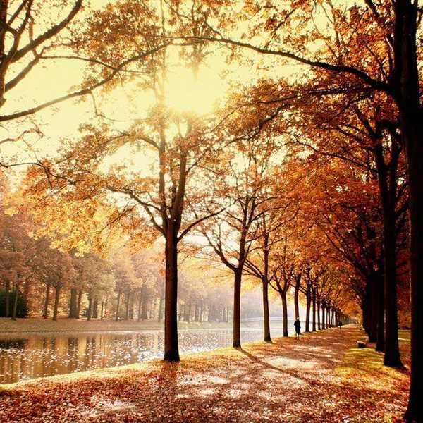 17 Awesome Things About The Month Of November