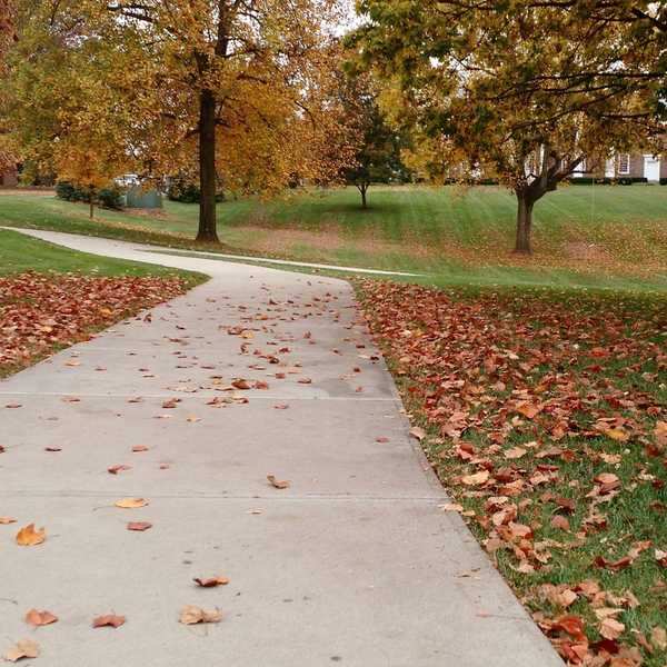 What They Don’t Tell You About College