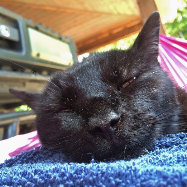 9 Struggles Of Having To Adult In College