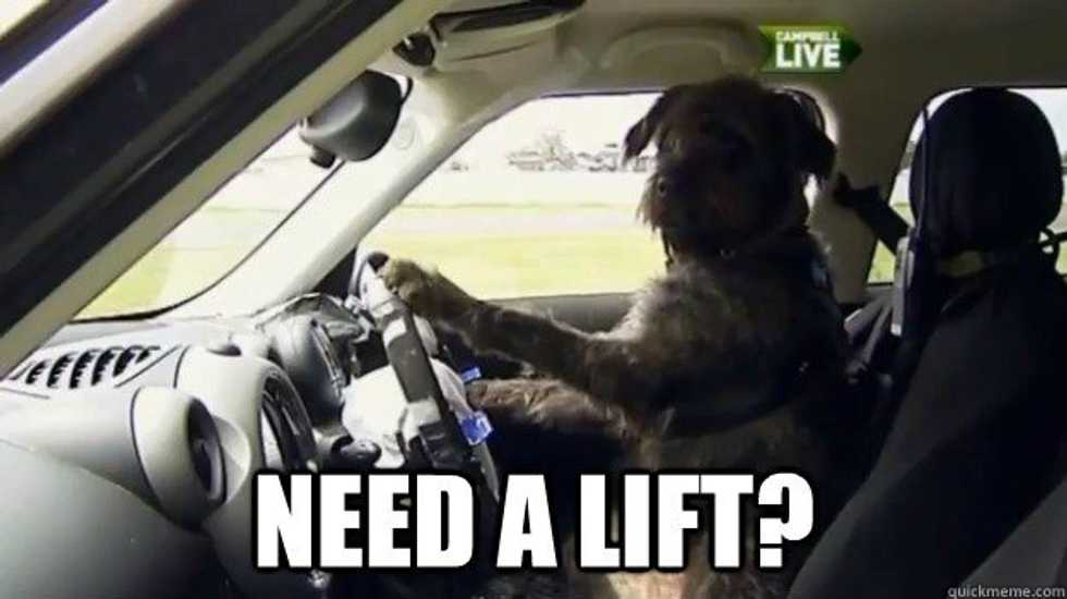 Survival Of The Fittest: Not Having A Car In College