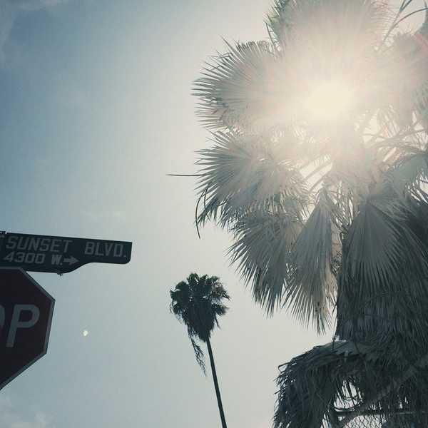 7 of the Best Things To Do In Los Angeles