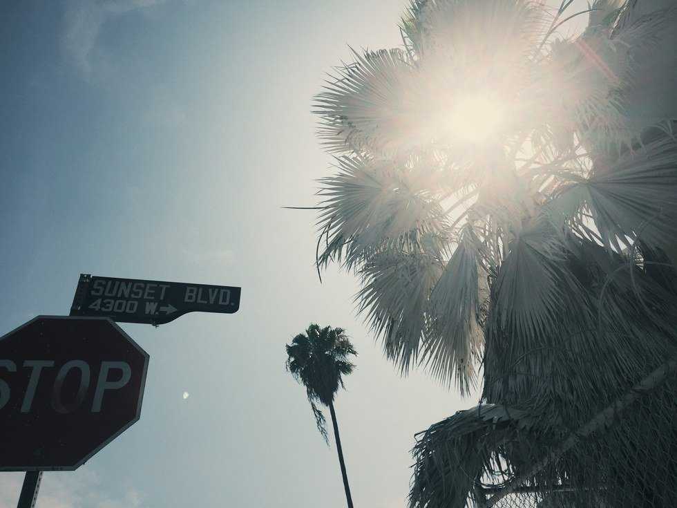 7 of the Best Things To Do In Los Angeles