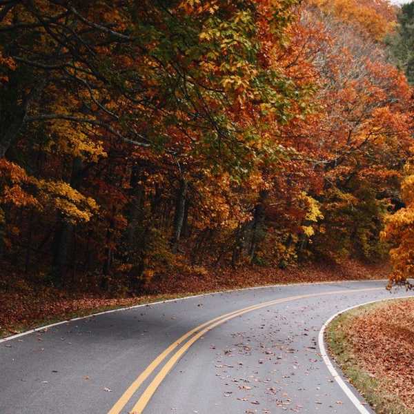 20 Reasons To Celebrate November