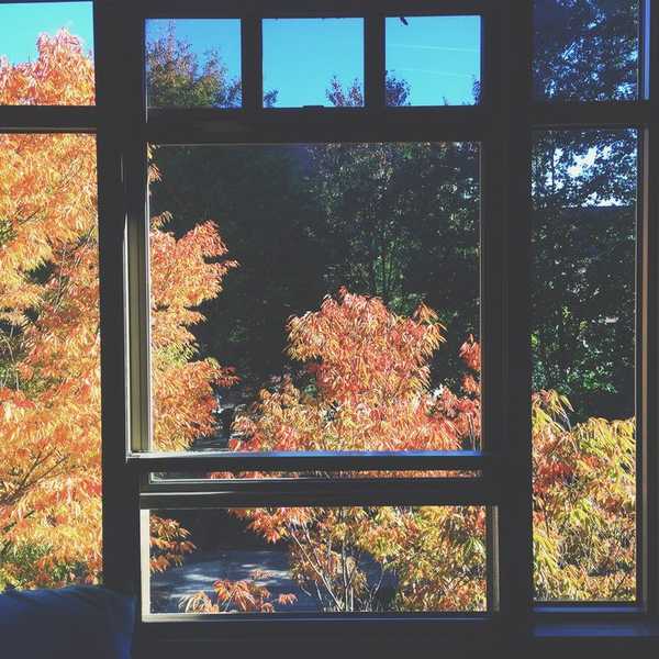 The Struggles of Fall in New England