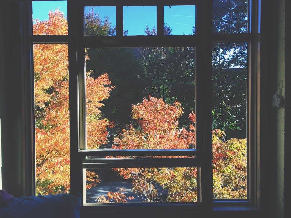 The Struggles of Fall in New England