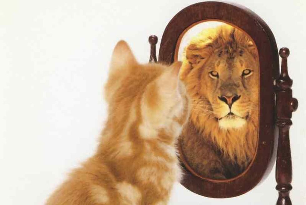 Be Cocky, Be Confident And Be Proud