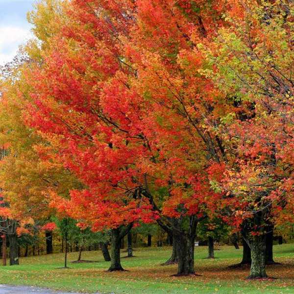 10 Best Things October has to Offer