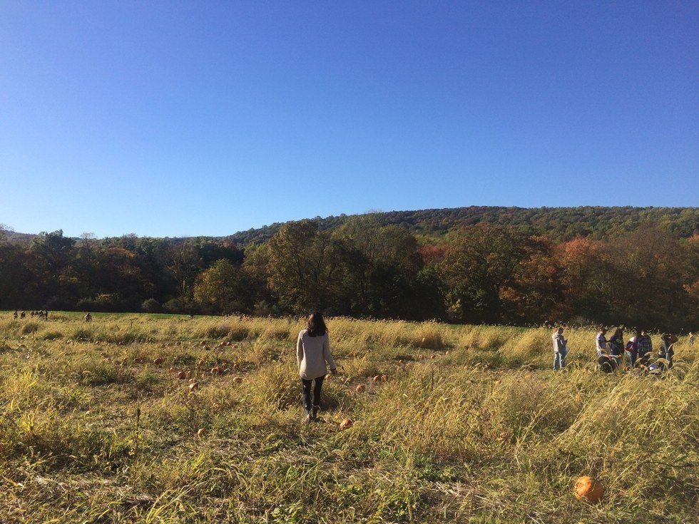 4 Reasons To Look Forward To When It's November!