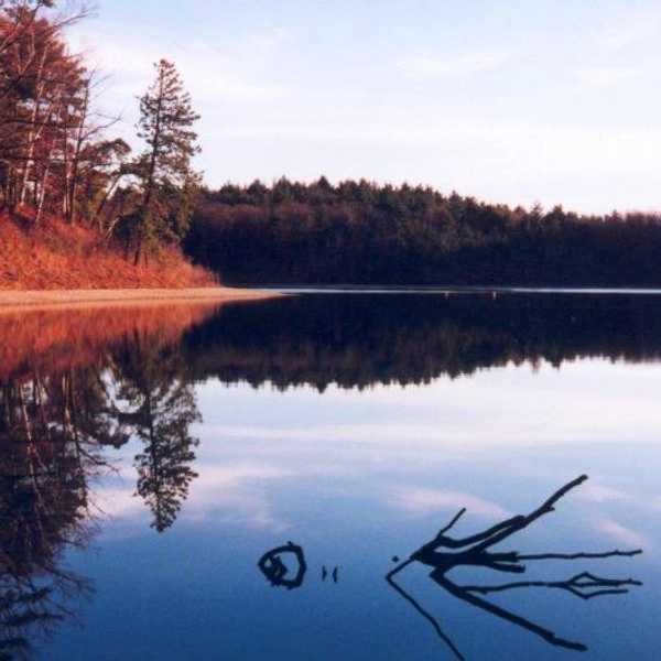 Thoreau Warned Us About Consumerism Nearly Two Centuries Ago