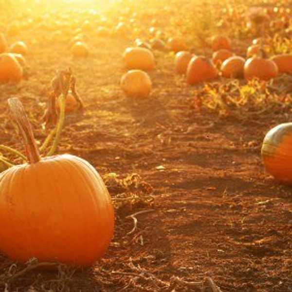 How To Make The Most Of Your Halloween