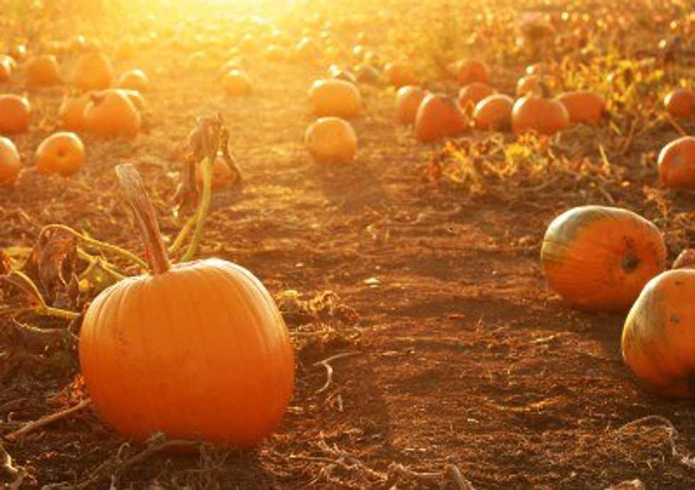 How To Make The Most Of Your Halloween