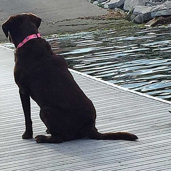 Confession: My Dog Is My Best Friend
