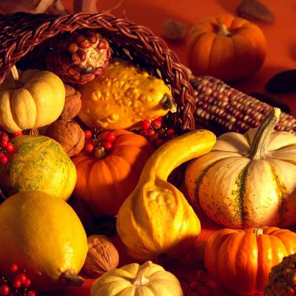 (Why People Should) Stop Ignoring Thanksgiving