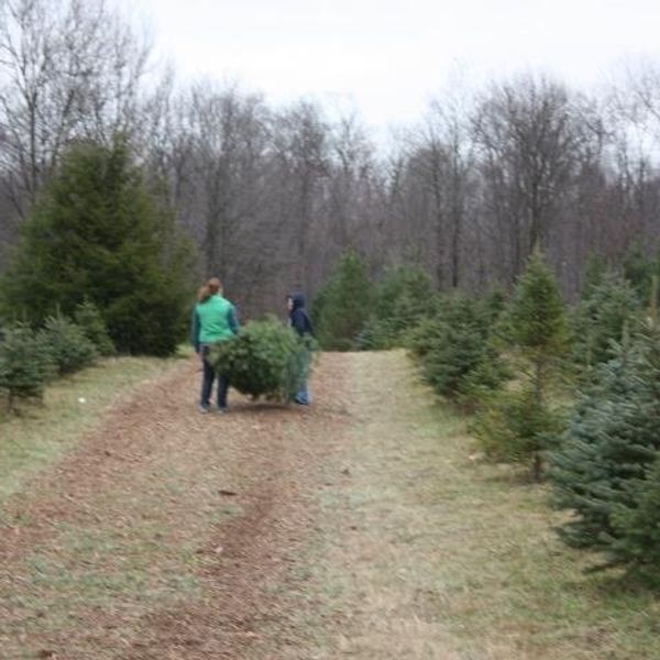 An Open Letter To Children Of Divorced Parents