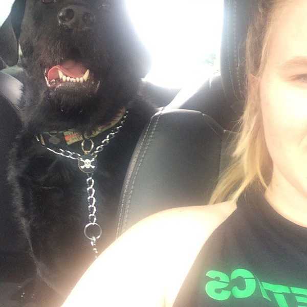 18 Reasons Why Your Dog Is Your Best Friend