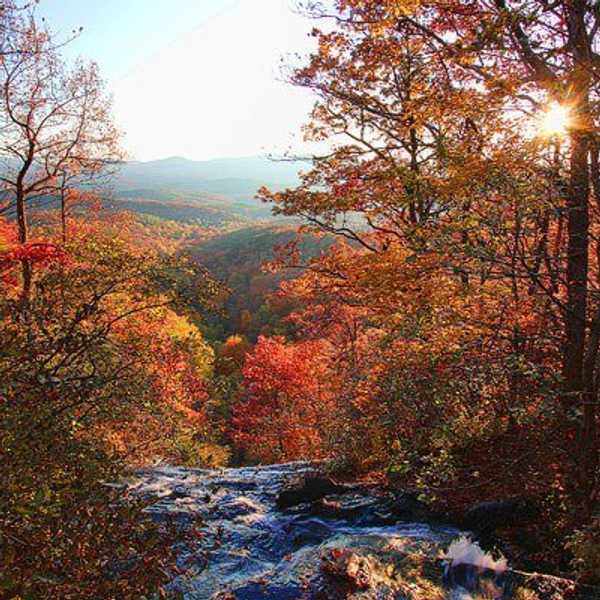 Fall In Love With November