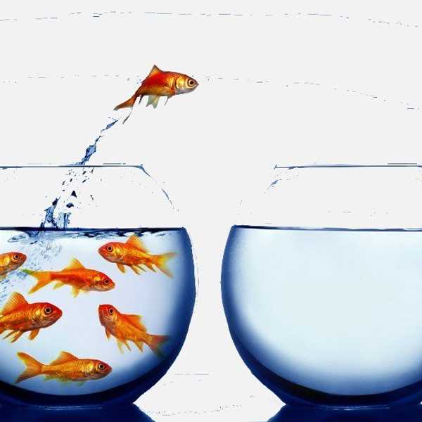Escaping Your Comfort Zone