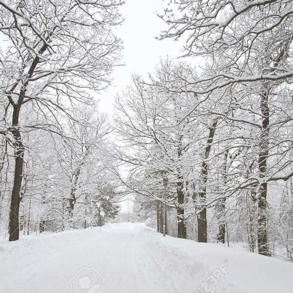 What The Cold Weather Means To Me