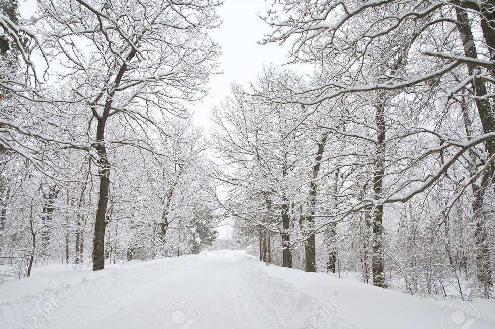 What The Cold Weather Means To Me