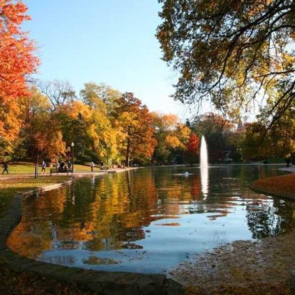 Why Fall Rules Them All