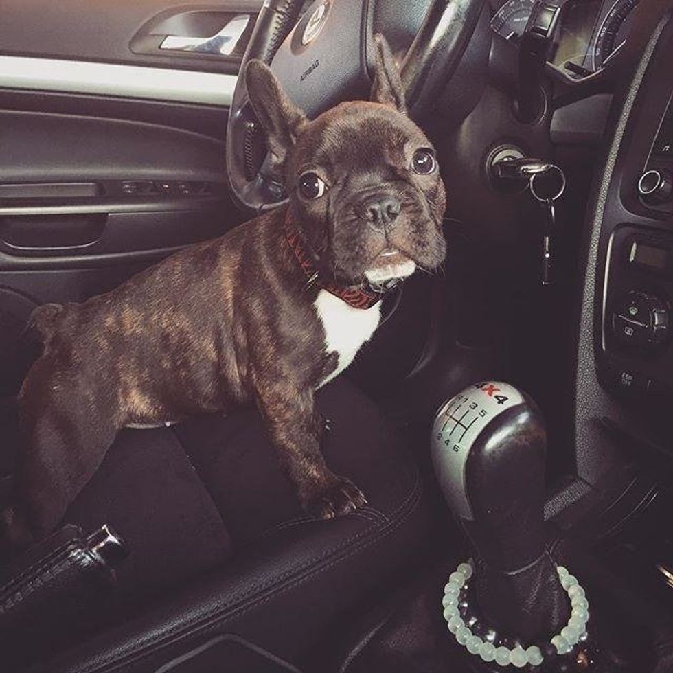 What My Lokai Bracelet Really Means To Me