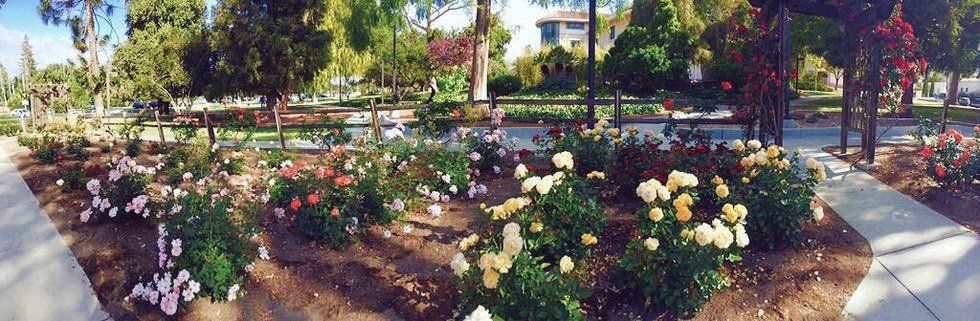 An Open Letter to my "Friends from Home"