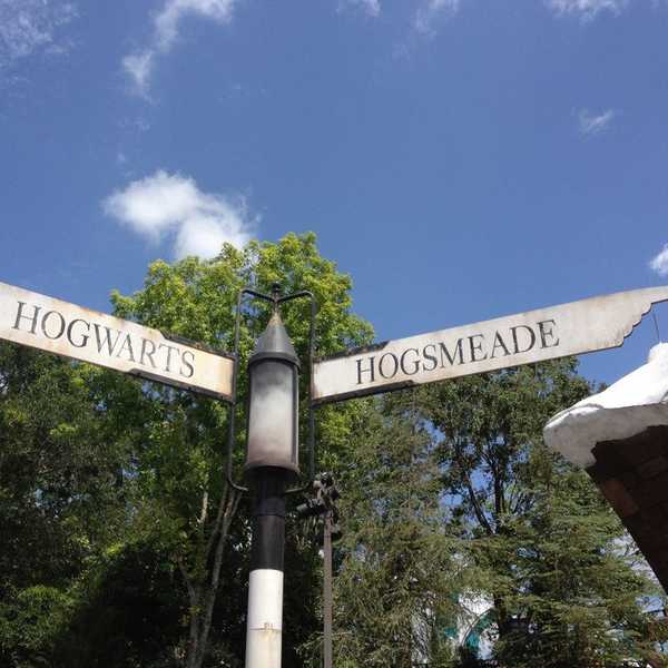 8 Reasons Why The Harry Potter Fandom Will Never Die