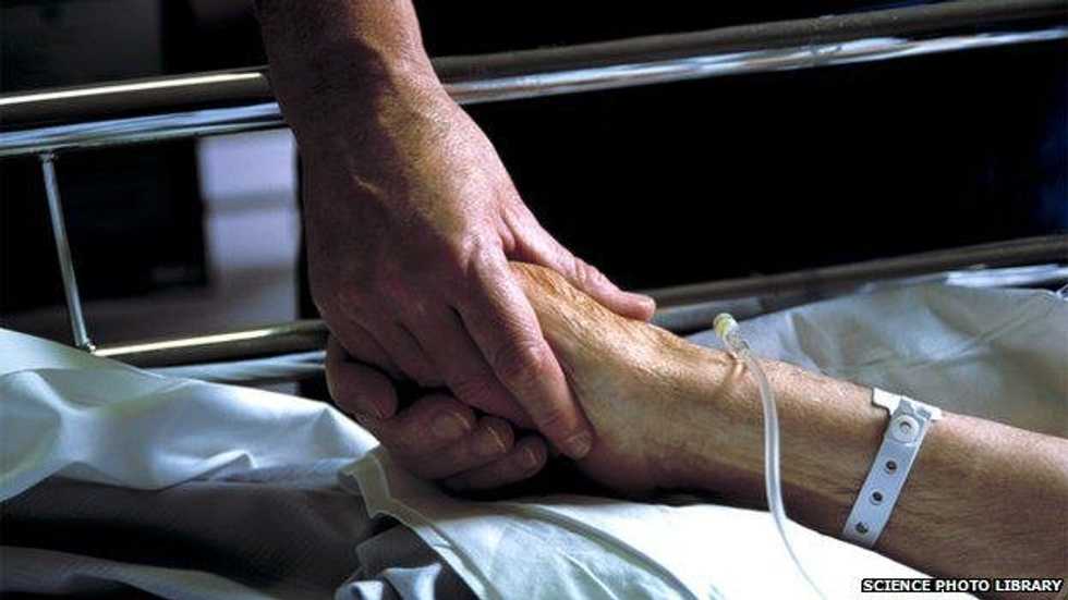 Cancer Is Not A Man's Best Friend