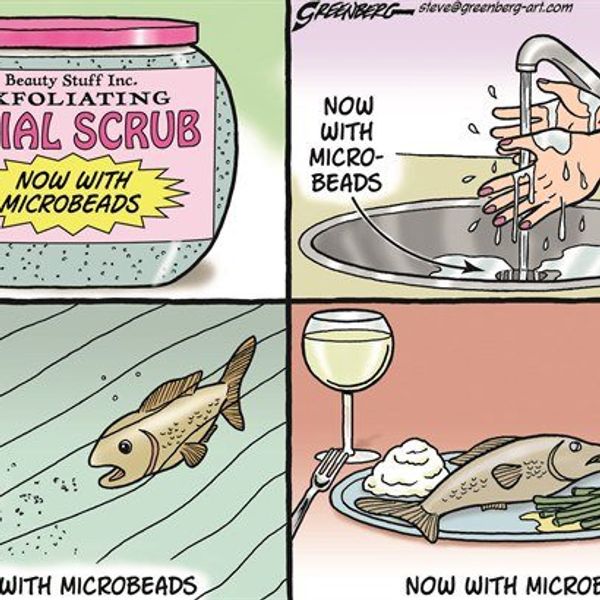 The Small-Scale Plastic Causing Large-Scale Problems: Microbeads