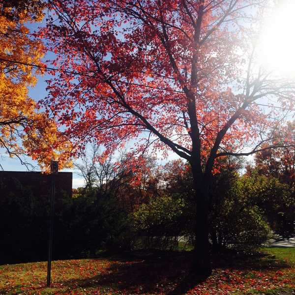 5 Ways To Incorporate The Lord In Your Thoughts During Your Everyday Busy Life