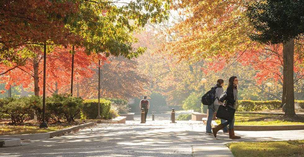 5 Things You Can Always Count On During The Fall In Memphis | The ...