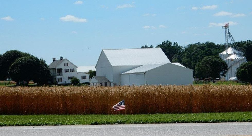 7 Reasons To Be Glad You Grew Up On A Farm
