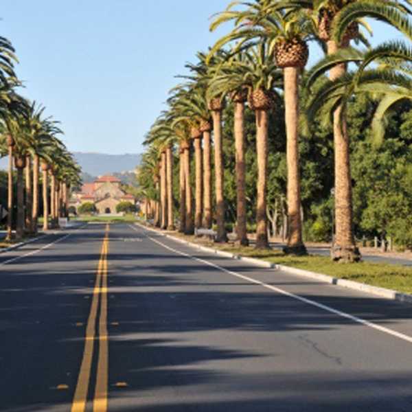 The Stanford Foodie: Palo Alto Edition