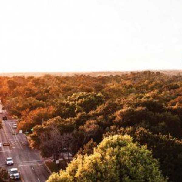 10 Signs You Go To Southwestern