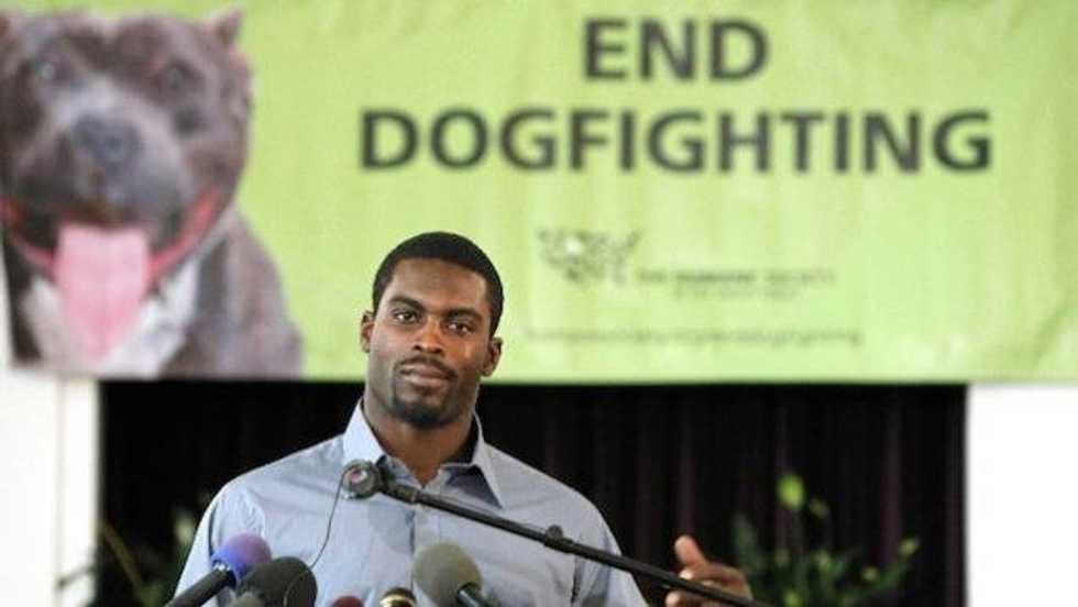 An Open Letter To Michael Vick's Opposition