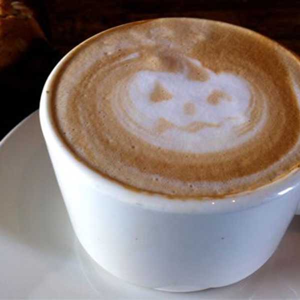 I'm Basic And I'm Proud: Why Fall Is The Best Season