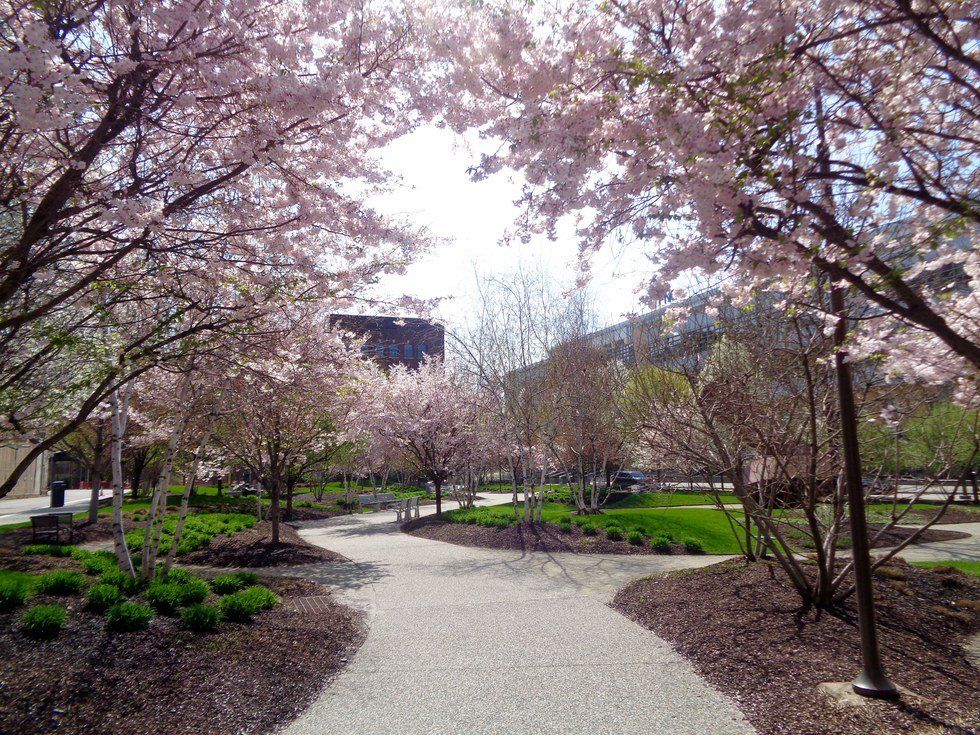 The Fine Line Between Flirty And Friendly