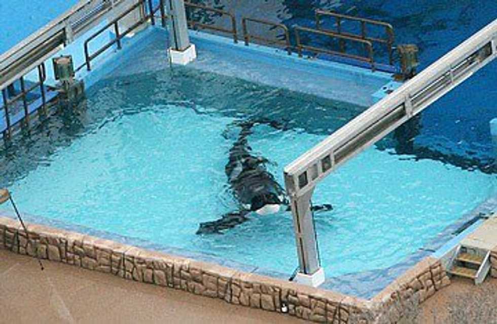 7 Things We All Need To Know About SeaWorld