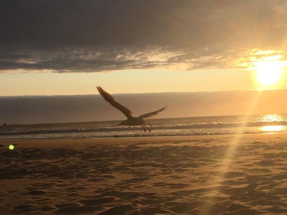 On Finding Your Home