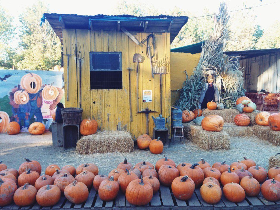 3 Reasons Why Halloween Can Be Fun