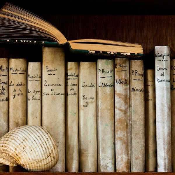13 Things Every English Major Can Relate To