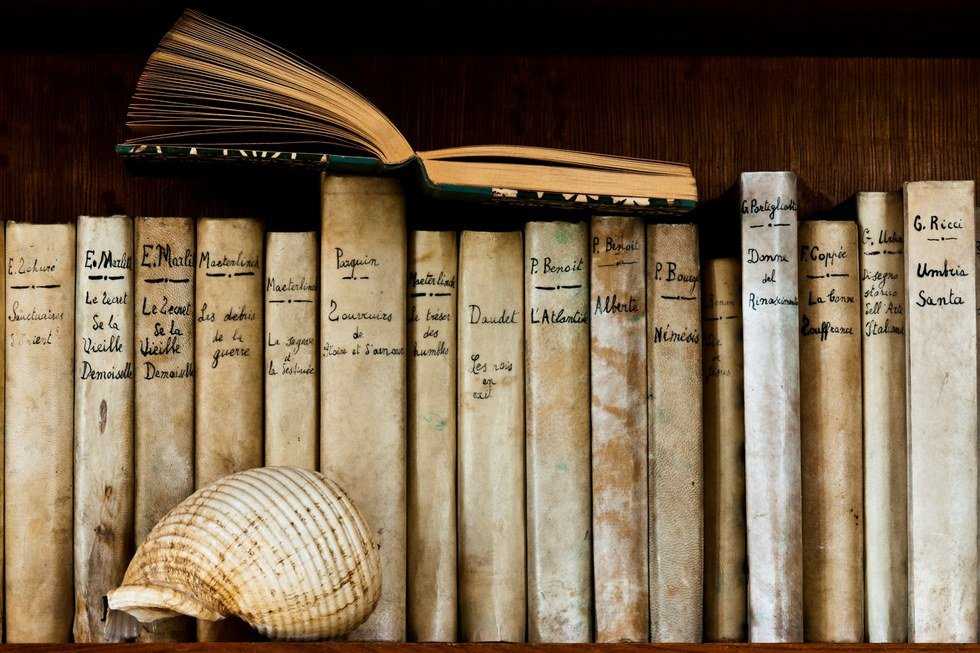 13 Things Every English Major Can Relate To