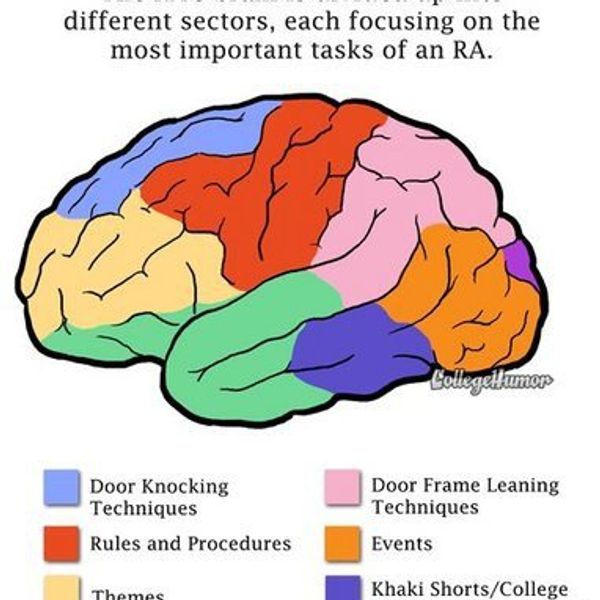 5 Things To Thank Your RA For