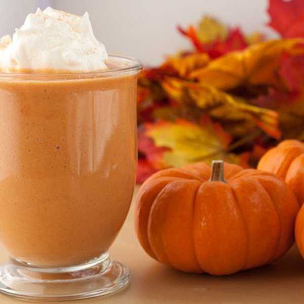Pumpkin Paradise