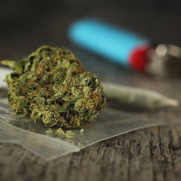 Pot: Let's Tok About It