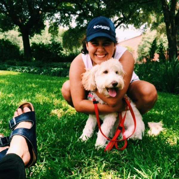Dogs Are A Blessing in College