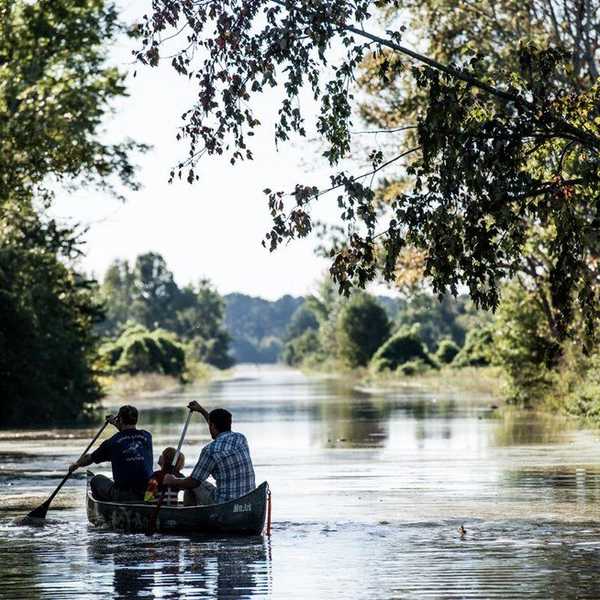 My South Carolina Badge Of Honor