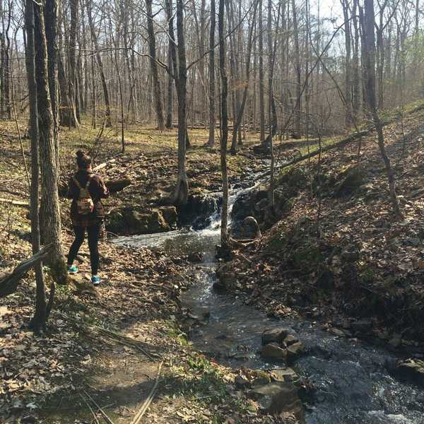 5 Ways To De-Stress During Midterms