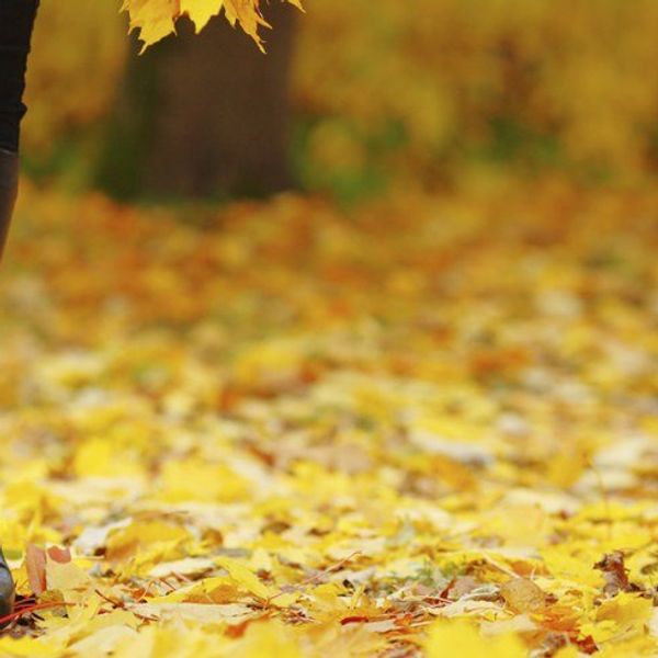 Simple Fall Fashion Styles